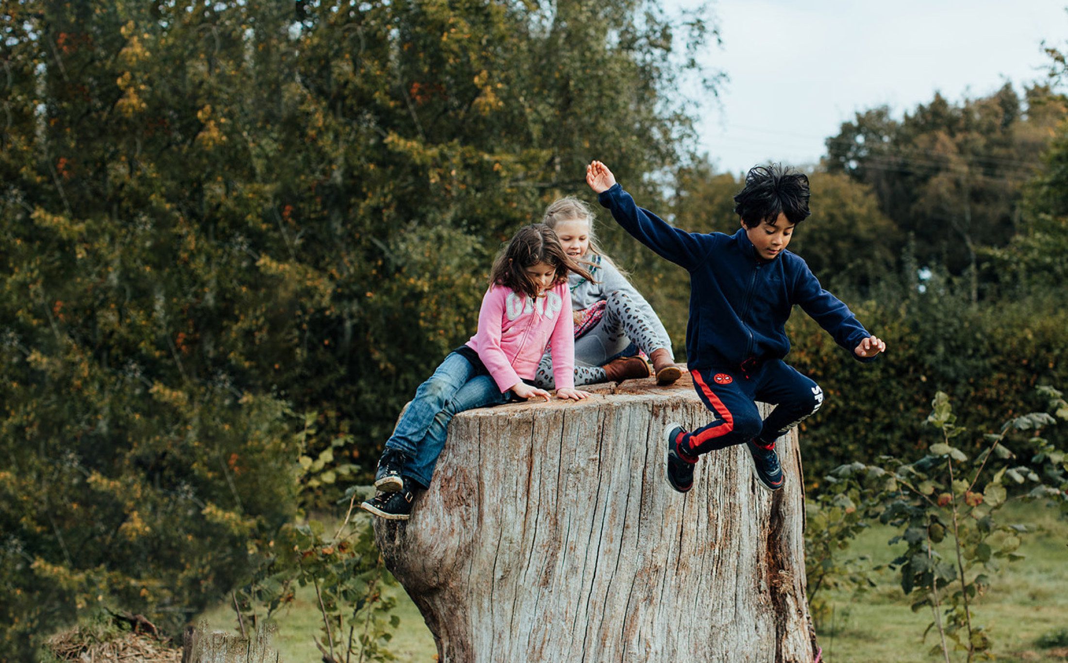 Free to Play Summit Wunderled