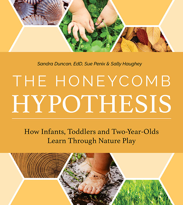 Wunderled Education Book The Honeycomb Hypothesis