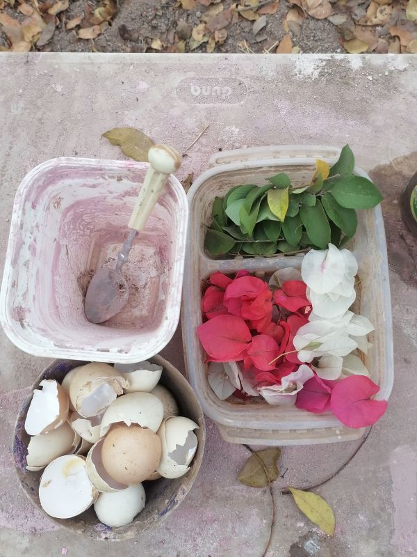 flower petals and egg shells set up for a mud play invitation