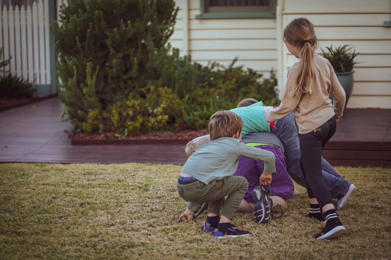 What is Rough and Tumble Play