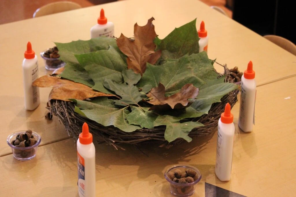 nature based loose parts for the Reggio inspired classroom